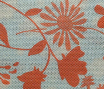 ӡ���o(w��)����