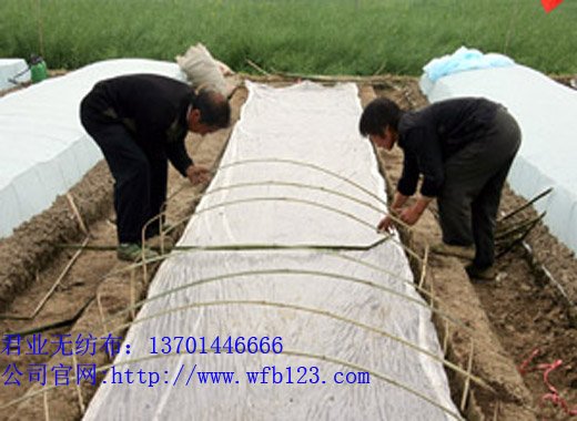 I(y)(yng)ˮ팣ßo(w)gӭ(li)ԃ