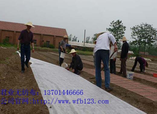 ˮwo(w)40ˣ [Ҏ(gu)R+