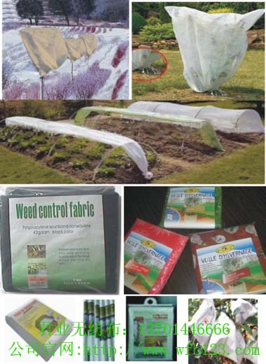 I(y)(yng)r(nng)ֈ@ˇo(w)gӭ(li)ԃ