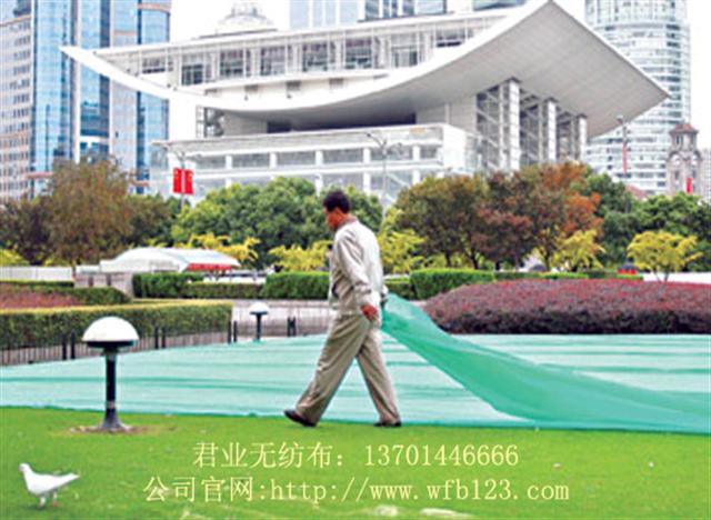 I(y)(yng)ƺßo(w)gӭ(li)ԃ