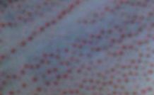 ���b�ﲼ�o����