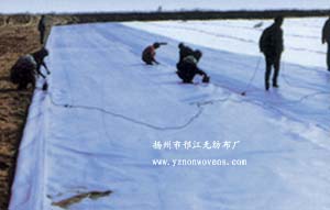 �����o����ϵ��